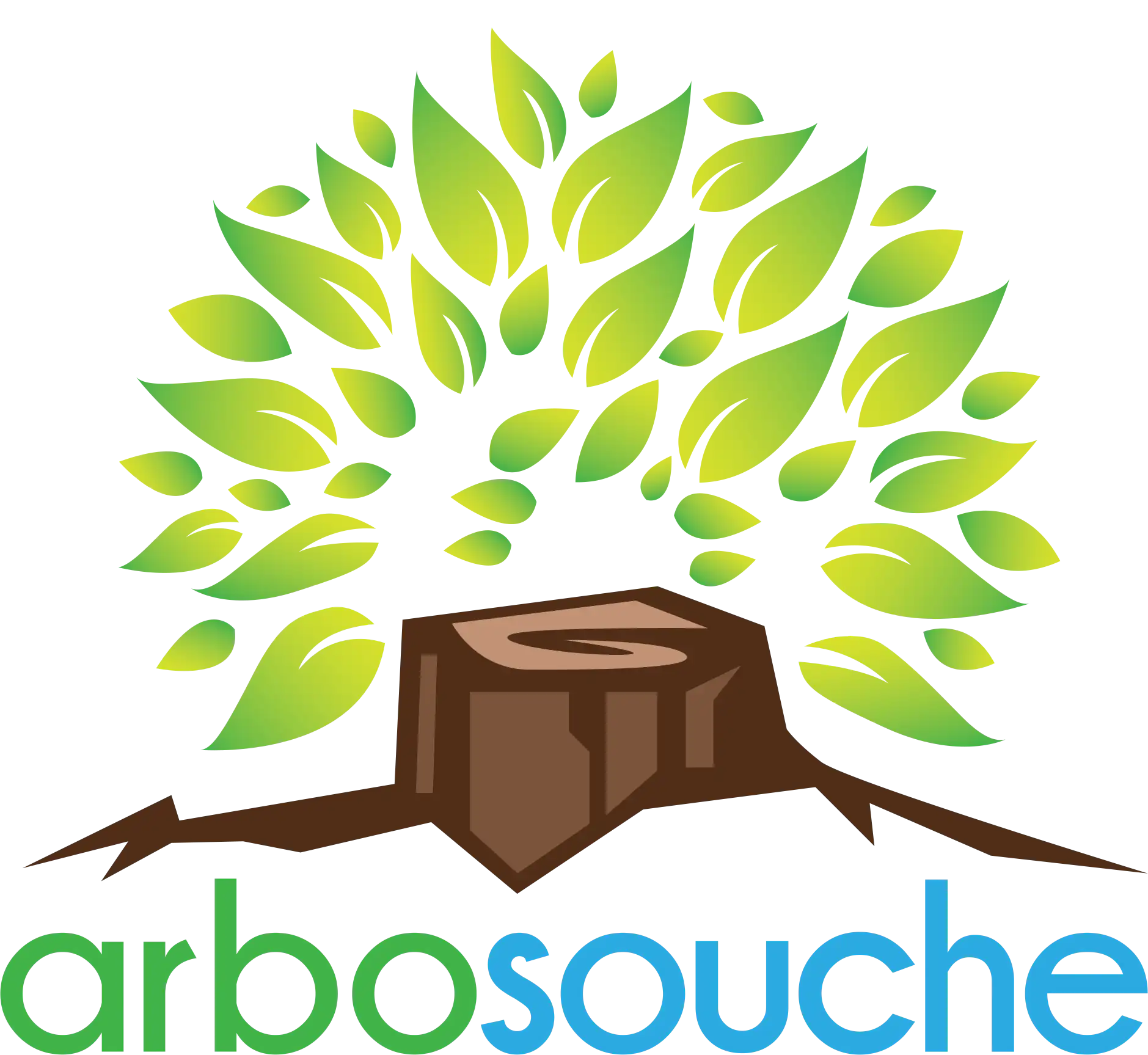 Arbosouche